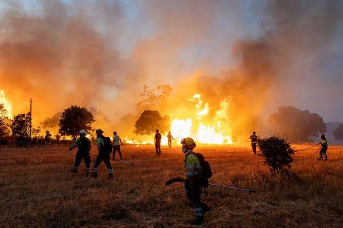 heatwaves and wildfires